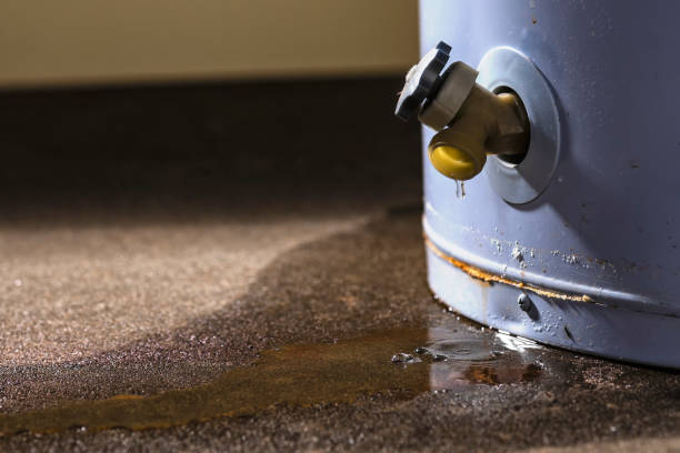 Best Sewage cleanup and water damage restoration  in Anthony, NM
