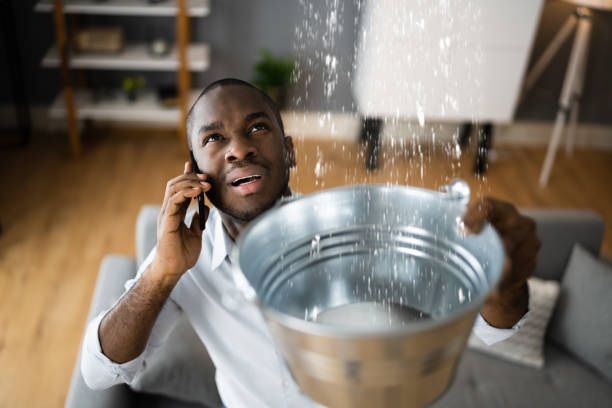 Best Flood damage cleanup  in Anthony, NM