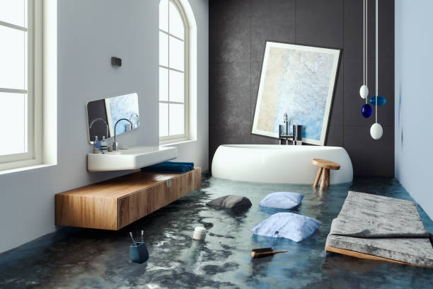 Best Mold removal after water damage  in Anthony, NM