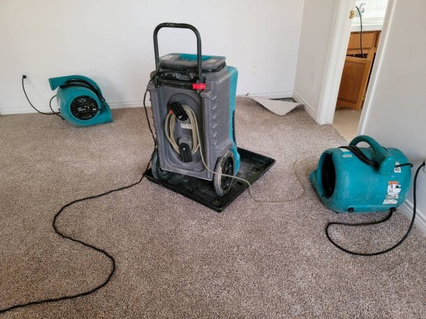 Best Water damage restoration services  in Anthony, NM
