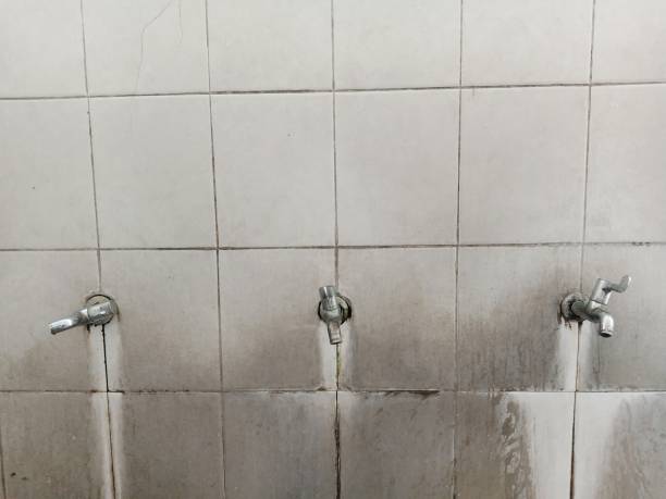 Best Basement water damage restoration  in Anthony, NM