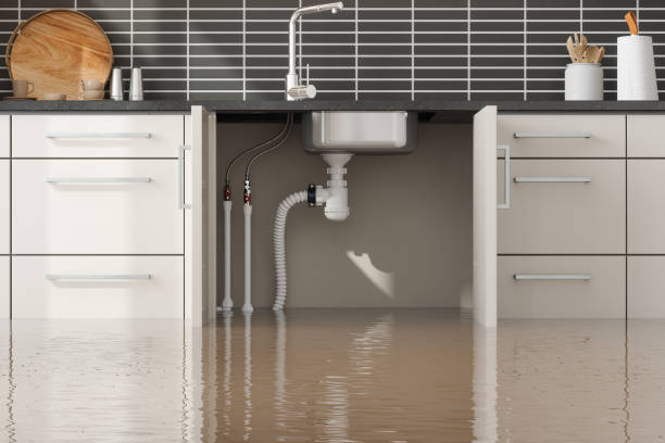 Best 24/7 water damage repair  in Anthony, NM