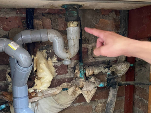 Best Water damage cleanup near me  in Anthony, NM